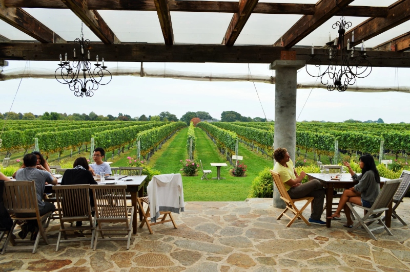 Wine tour transportation